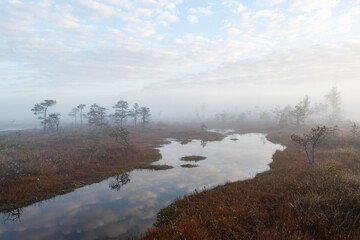 Naklejka na ściany i meble misty morning in the swamp lake