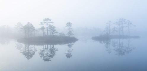Fototapeta na wymiar misty morning in the swamp lake