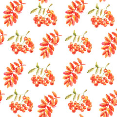 Watercolor seamless background with ash-berry and rowan leaves