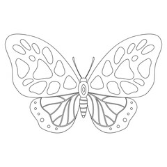 coloring page with butterfly