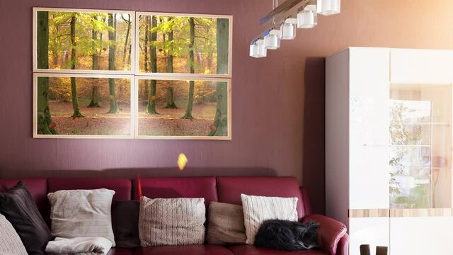 A modern living room. A dog lies on the couch. In the background are four picture frames showing a video of an autumn forest. The leaves fall out of the frame into the living room.