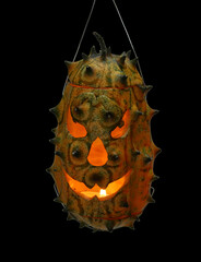 Jack's prickly Lantern for Halloween from kiwano.