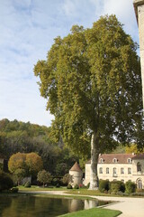 Abbaye cistercienne de Fontenay Bourgogne