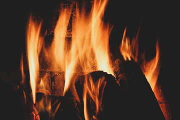 Fire in the fireplace. Burning tree. Fire on the background of the wall