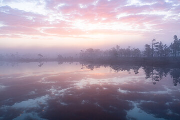 Misty morning in swamp lake