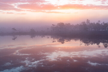 Fototapeta na wymiar Misty morning in swamp lake