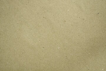 Kraft paper: Green isolated background (blank mockup)