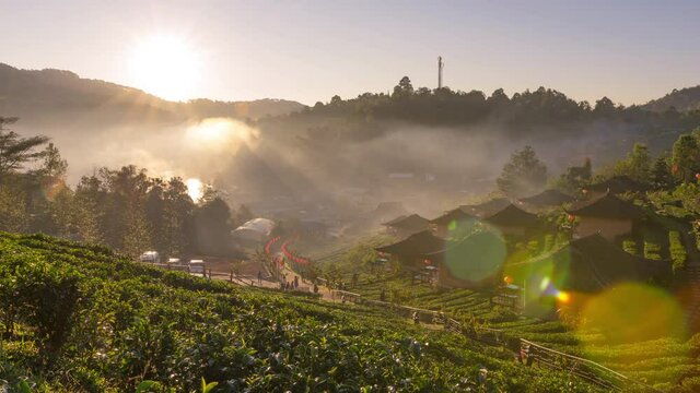 Time lapse vedio 4K, Landscape Sunrise at Lee wine Rak Thai, Ban Rak Thai a Chinese settlement, Mae Hong Son, province Northern Thailand.