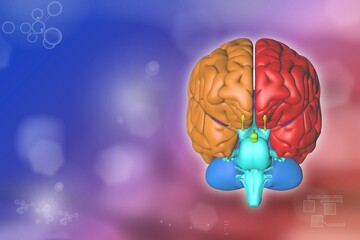 Human brain, nerve analyzing concept - highly detailed modern texture or background, medical 3D illustration