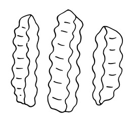 Hand drawn vector illustration of wrinkles cut French fries pattern pattern. set of French fries with a black line isolated on a white background .