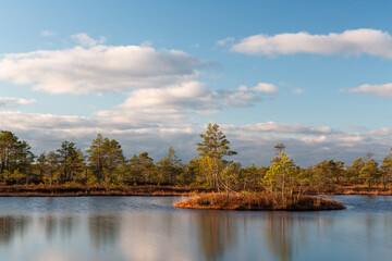 Fototapeta na wymiar Swamp lake with islands in sunny day and sunrise
