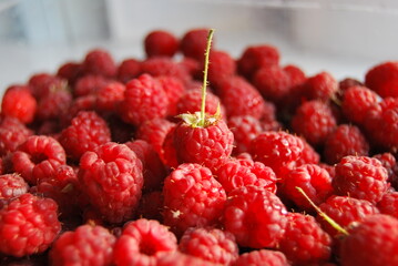 raspberries