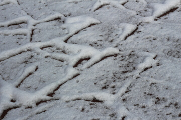 white background from the first snow. Close-up texture of ground and snow