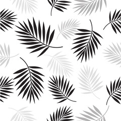 Exotic, black palm leaves, pattern,  illustration