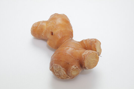 土ショウガ Images Browse 65 Stock Photos Vectors And Video Adobe Stock