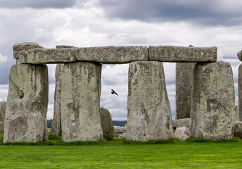 Stonehenge Raven