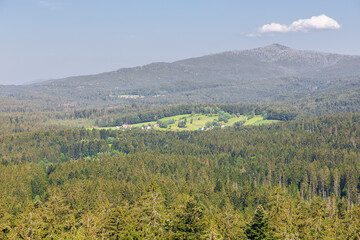 The Bavarian Forest around Neuschonau in de vicinity of the treetop walk
