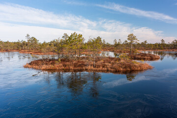 Fototapeta na wymiar Swamp lake with islands in sunny day