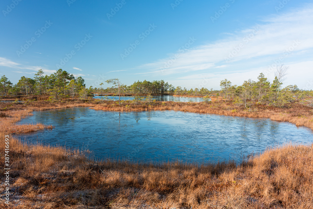 Wall mural Swamp lake with islands in sunny day