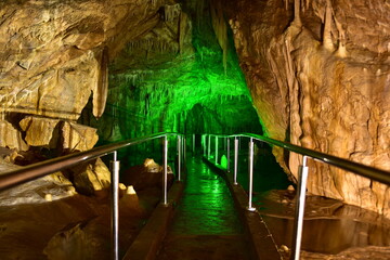 Jaskinia Niedźwiedzia w Kletnie kolo Stronia Śląskiego odkryta w 1966 roku. W miejscu tym odkryto szkielety niedźwiedzia jaskiniowego, lwa jaskiniowego i wiele innych zwierząt plejstocenskich - obrazy, fototapety, plakaty