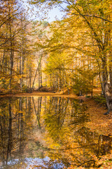 Autumn in the woods and its reflection in the lake