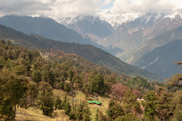 Snow covered mountain above green forest in the Himalayas