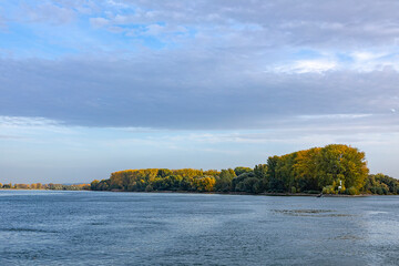 old river Rhine with trees on island in sunset at Nierstein