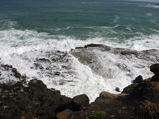 natural beauty of New Zealand Dunedin and Catlin beaches