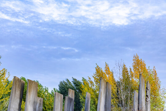 old concrete plates at an old industry ruin with ftree and blue sky background at river rhine