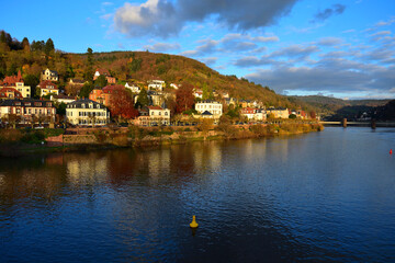 Fototapeta na wymiar Heidelberg. A part of the city in autumn with river Neckar. Germany.