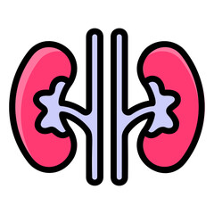 Kidney  