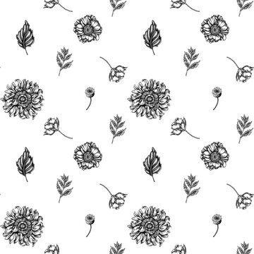 Seamless pattern with black and white poppy flower, gerbera, sunflower, milkweed, dahlia, veronica