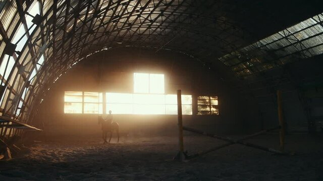 Female jockey on the horse is running in the hangar with obstacle.