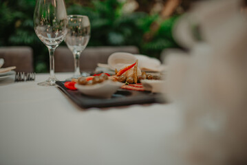 Naklejka na ściany i meble Meat dish on some festive event, party or wedding reception 