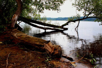 silence on the lake
