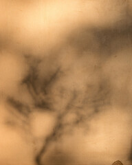 abstract photo with a blurred shadow on the wall, suitable for the background