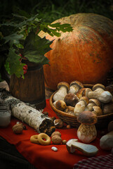 Still life with mushrooms