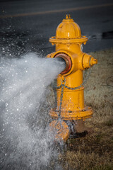 Yellow fire hydrant  wide open with water gushing out near a road
