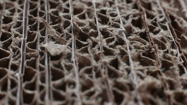Structure of the cardboard, selective focus. Sective focus of cardboard paper