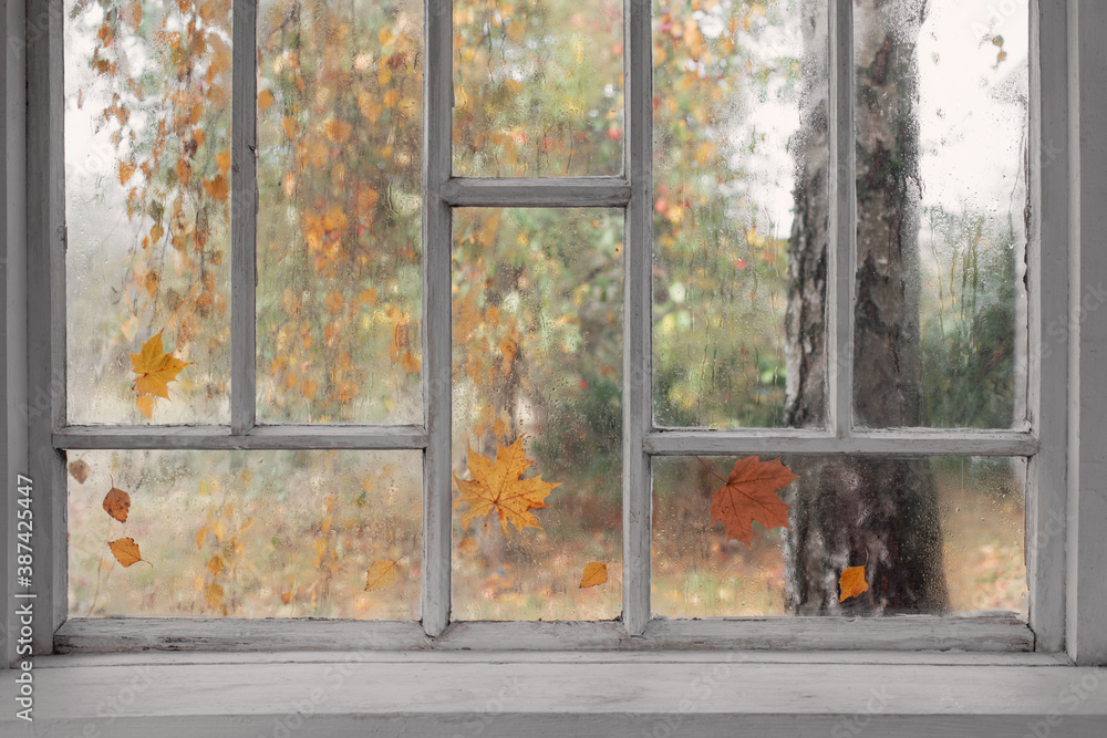 Sticker white old wooden window with rain drops and autumn leaves