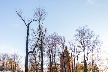 Fantasy castle landscape magical fairy magic  dreamlike Wizards University