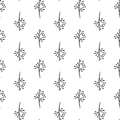 Hand-drawn sketch botanical illustration.