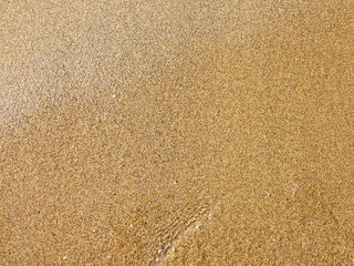 The  sand  on the beach