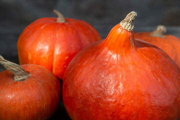 Close-up of orange pumpkins on a dark background.