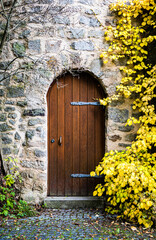 Fototapeta na wymiar Old stone arch doorway with wooden door and yellow autumn leaves