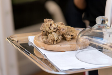 Alba white truffle on wooden plate ready for service