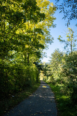 Fototapeta na wymiar Path through a wooded area on a sunny day with blue skies, taken in early fall in Germany