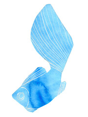 Blue fish isolated on white