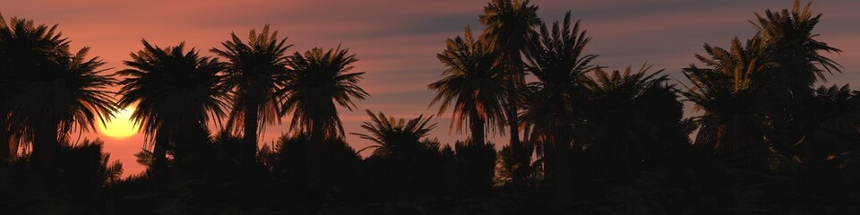 Fototapeta na wymiar Palm trees at sunset against the sky, silhouettes of palm trees, 3D rendering