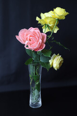 roses in vase